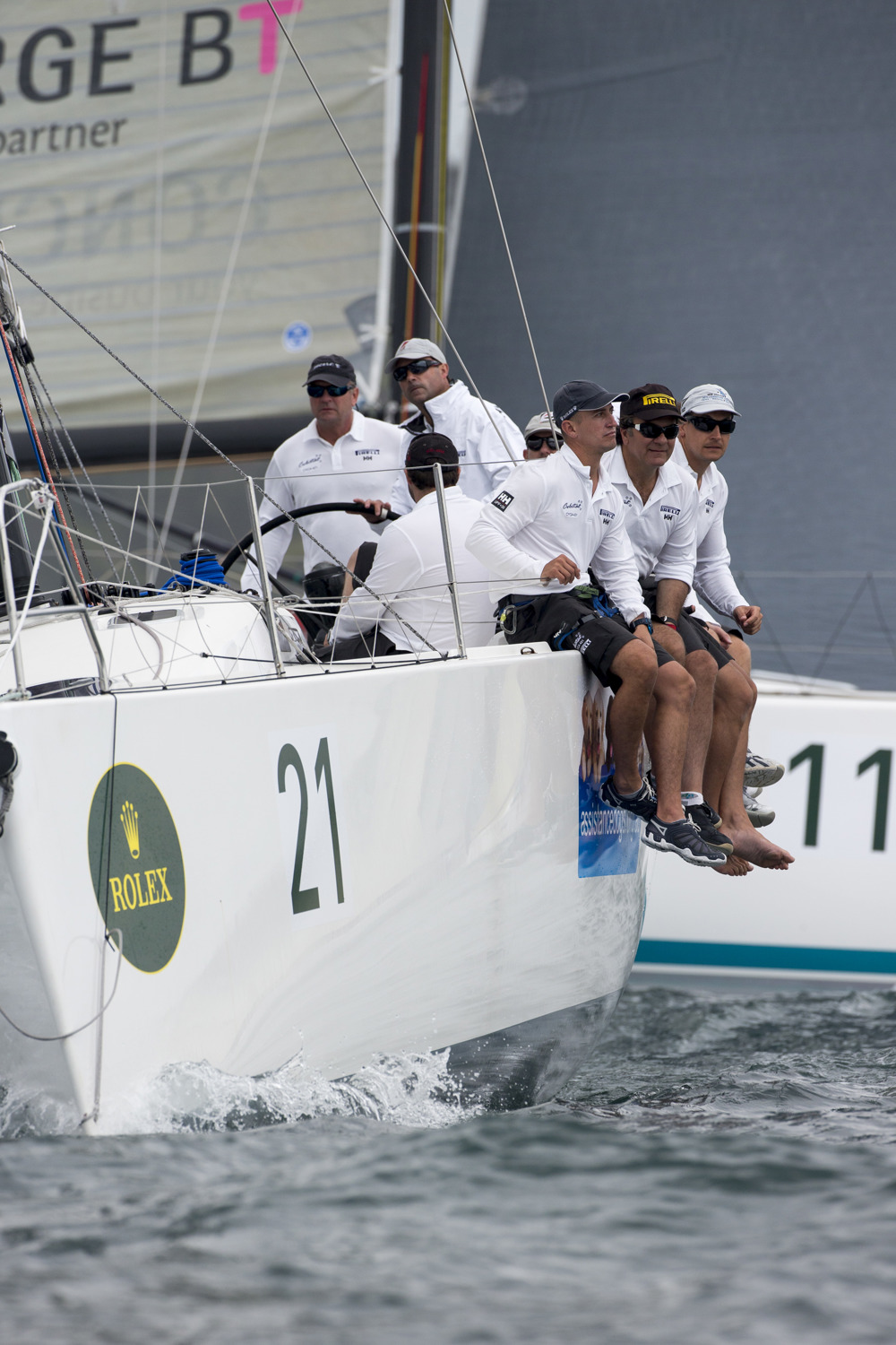 Celestial Assistance Dogs