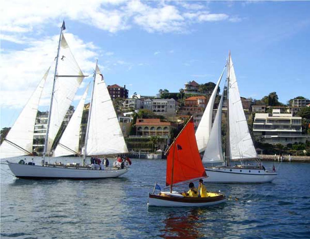 Yachts in the Associates Annual Parade of Sail