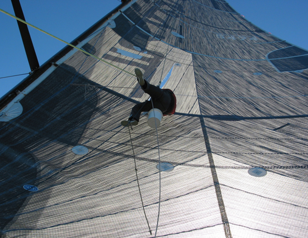 Infinity III crewman getting a bird's eye view of the Sydney Gold Coast Race