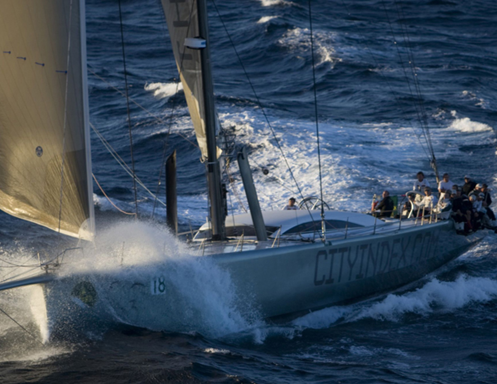 City Index Leopard reaching fast early in the race