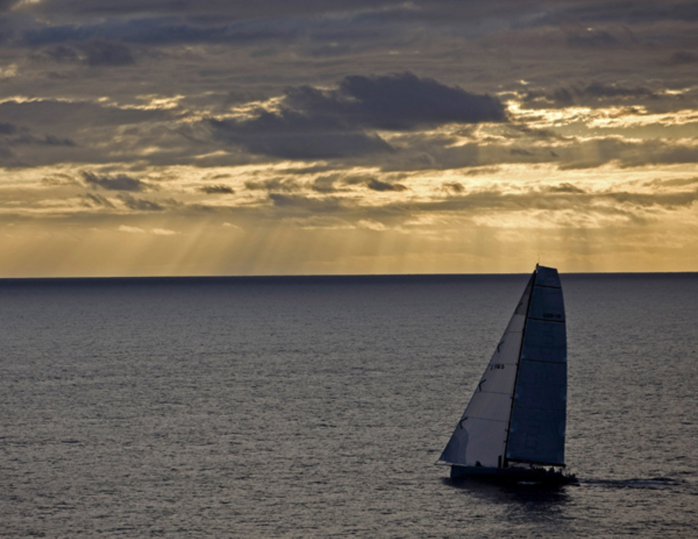 City Index Leopard at sunset off Flinders Island