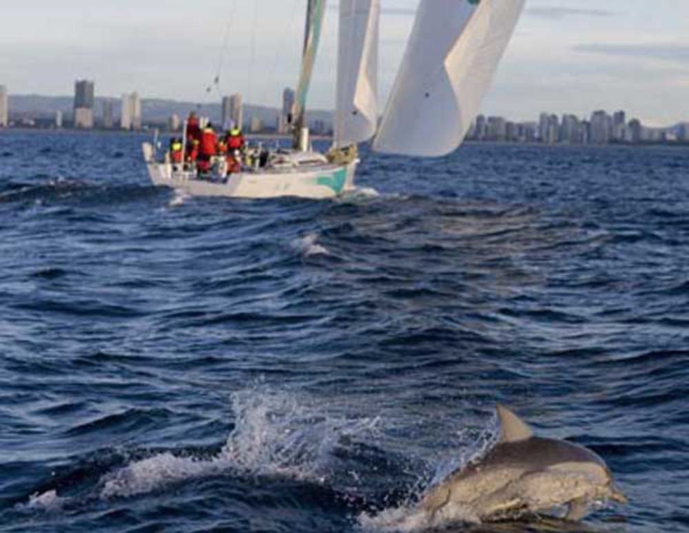 Quantum Racing greeted by dolphins on the finish line
