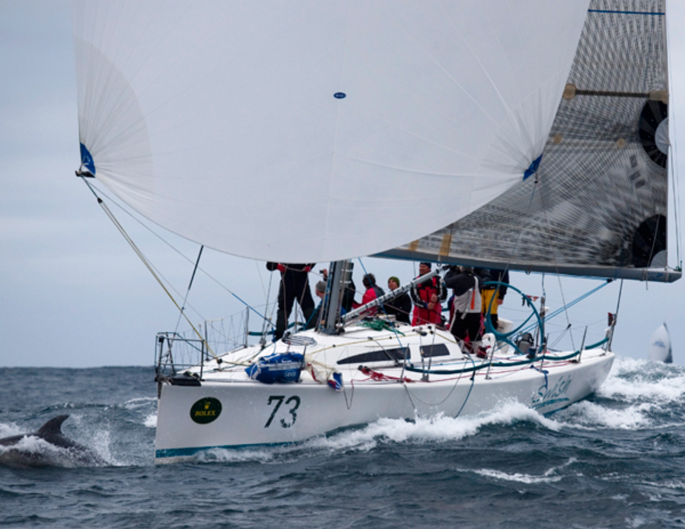 Swish just passing Tasman Island on its way into Storm Bay, with dolphin