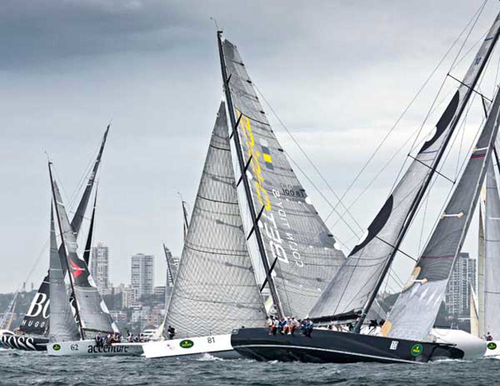 Wild Thing, Lahana, Hugo Boss and Accenture