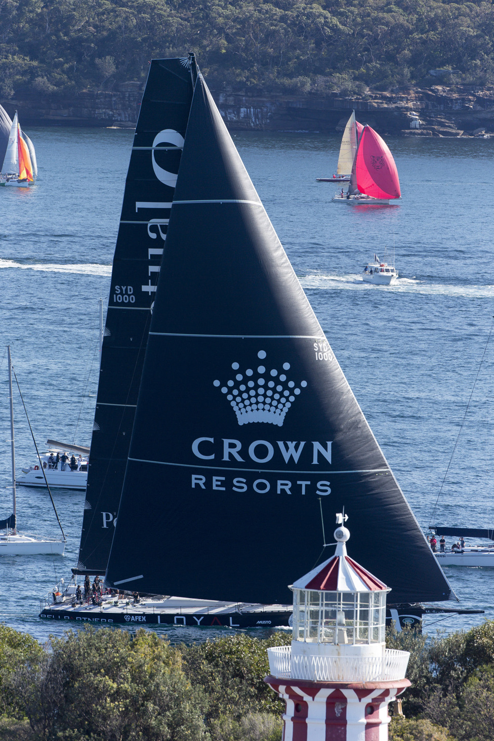 SAILING - Land Rover Sydney to Gold Coats 2015
25/07/2015
ph. Andrea Francolini
Perpetual Loyal