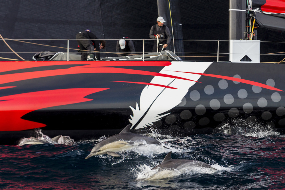 58, COMANCHE (USA), Sail No: 12358, Design: Verdier Yacht Design & Vplp, Owner: Jim Clark Kristy Hinze , Skipper: Ken Read