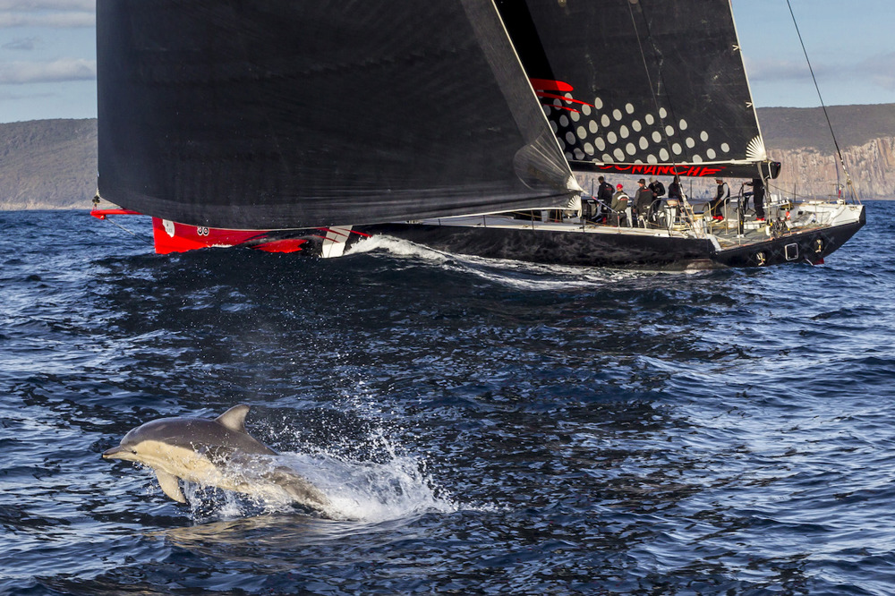 58, COMANCHE (USA), Sail No: 12358, Design: Verdier Yacht Design & Vplp, Owner: Jim Clark Kristy Hinze , Skipper: Ken Read