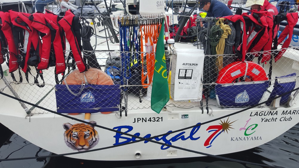 KLC Bengal 7 in Hobart