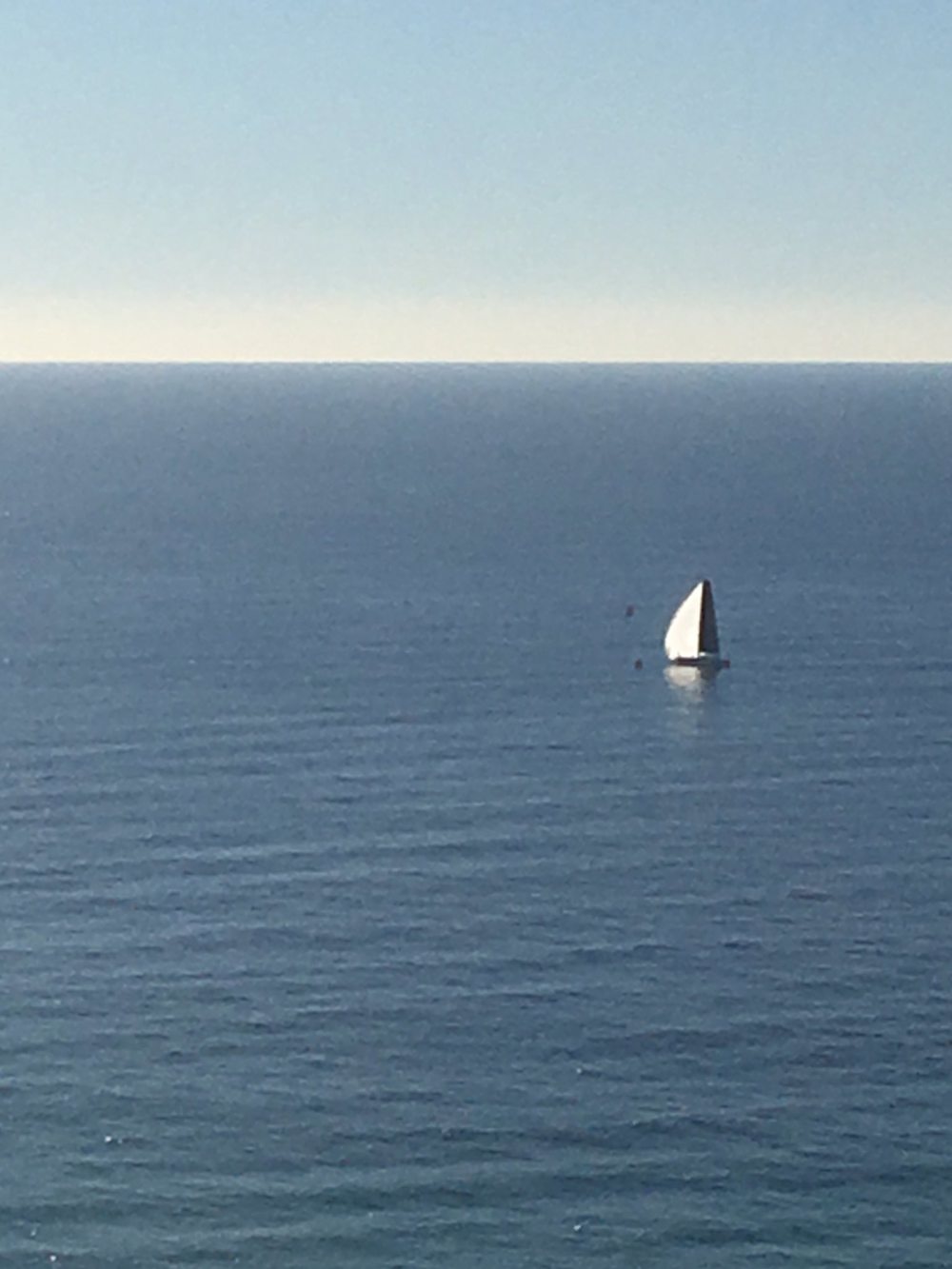 Showtime approaching the finish at Gold Coast