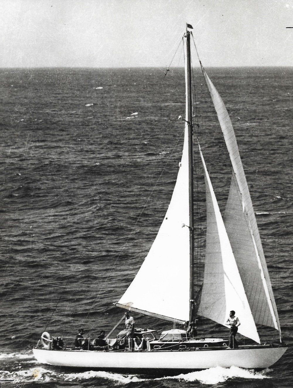 Solvieg - 1954 SHYR race record winner