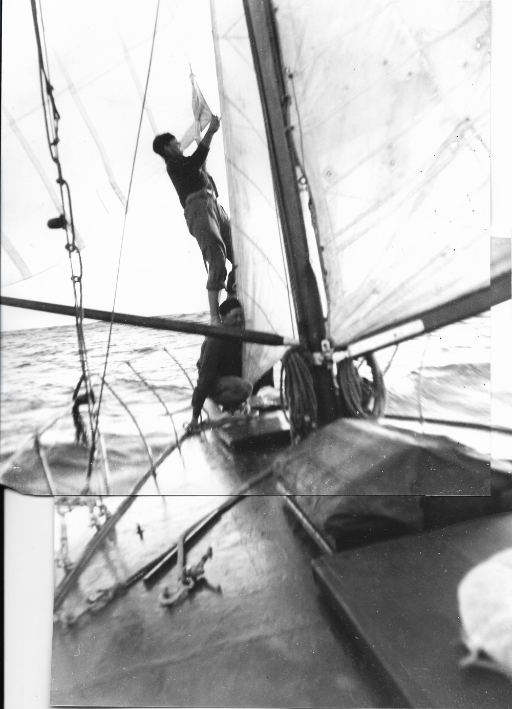 Stormbird - 1947 SHYR - montage - STORMBIRD EXHIBIT V-3 - CYCA Archives