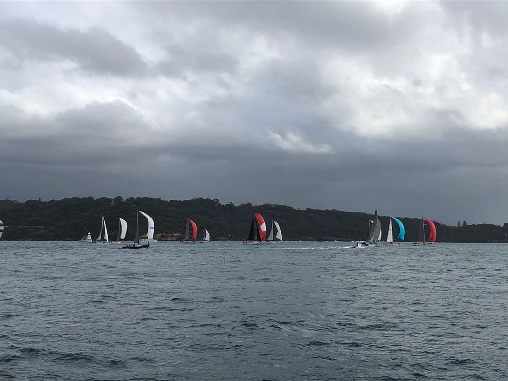 PONANT Sydney Noumea fleet in Sydney Harbour after the start