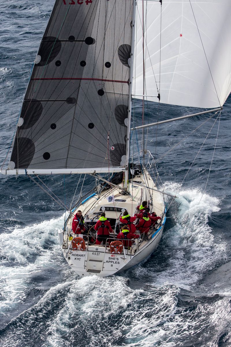 Tasmanian entry She's Apples II prior to her retirement