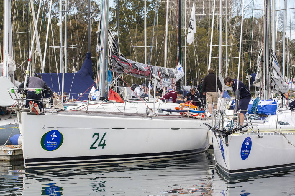 Chancellor and Pekljus