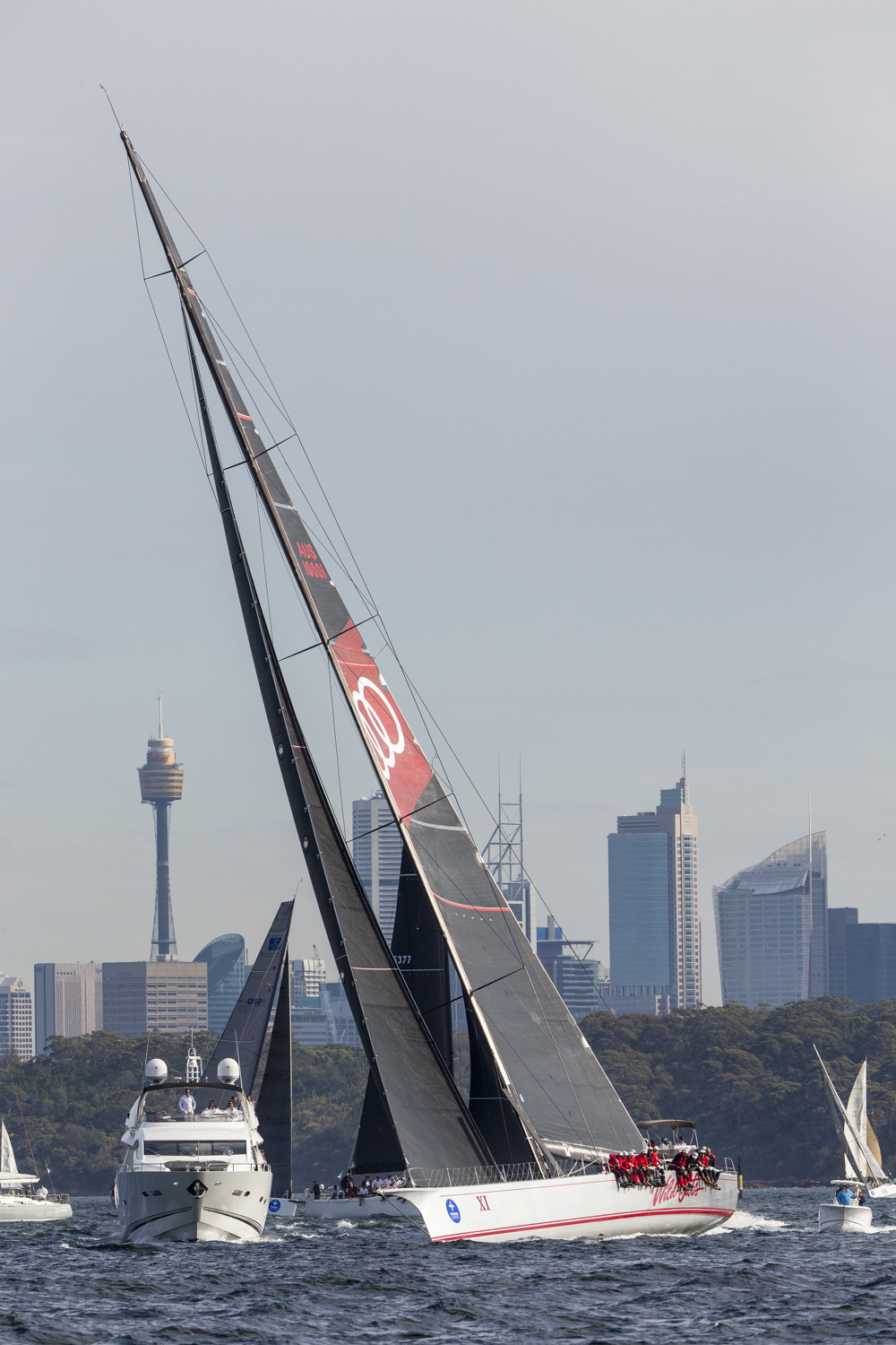 Wild Oats XI