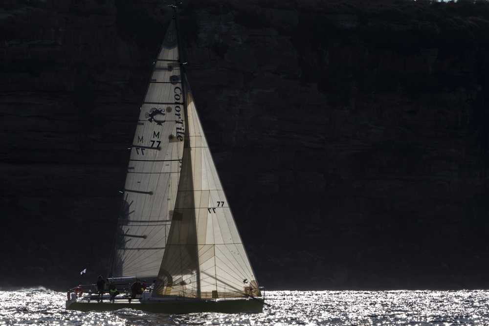 Stampede under North Head