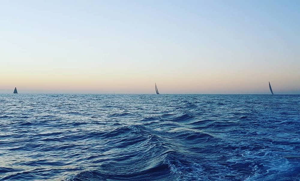 Black Jack, Wild Oats XI and Comanche racing to the finish