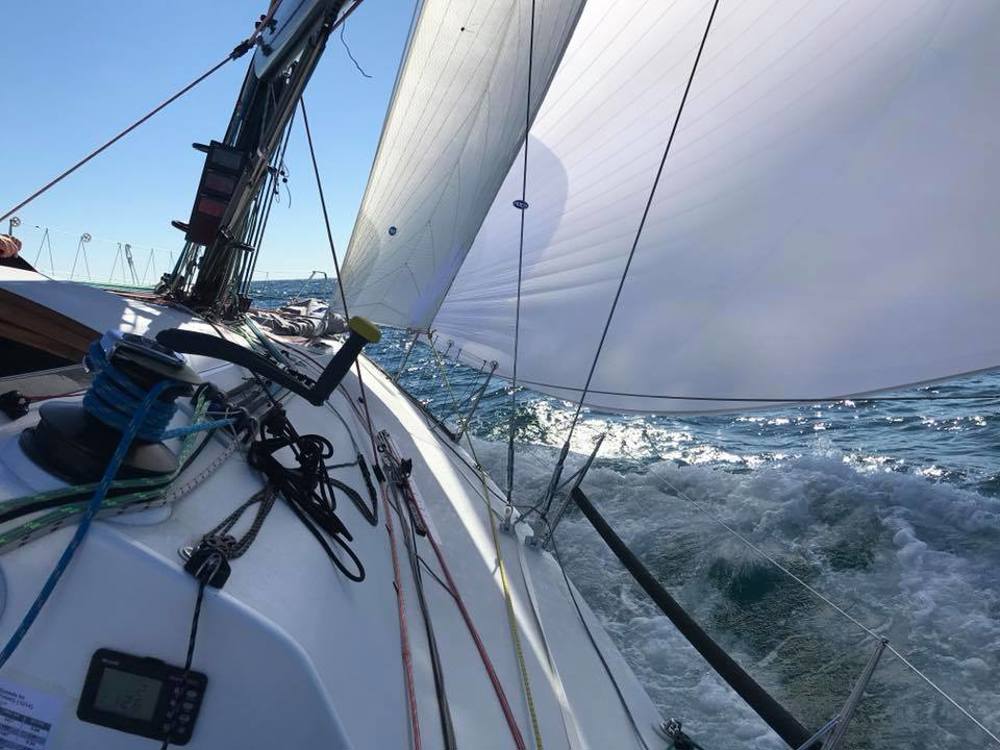 UBS Wild Thing with asymmetric and staysail making good progress