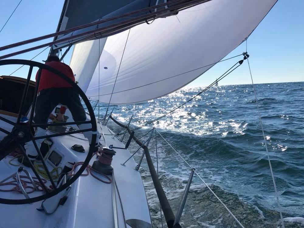 UBS Wild Thing making good progress