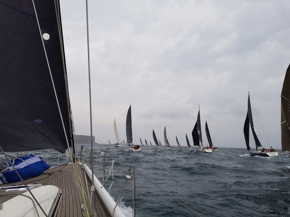 The Bird Island Race fleet from Wax Lyrical