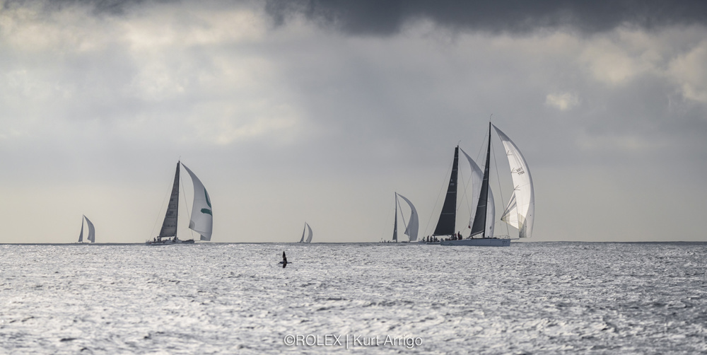 Fleet off the Organ Pipes. Spinnaker.