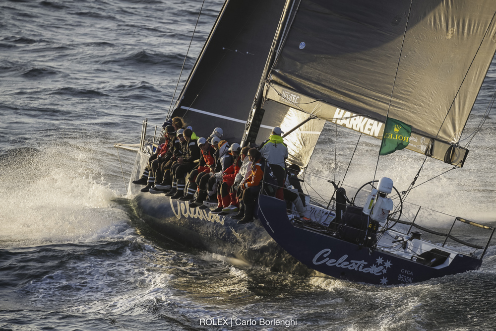 CELESTIAL, Bow: A1, Sail n°: 9535, Skipper: Sam Haynes, Design: Tp52 Jv 2011, Owner: Sam Haynes, State/Nation: NSW