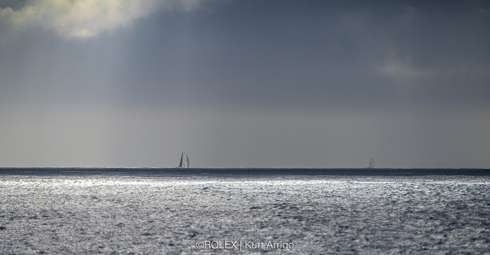 Fleet off the Organ Pipes. Spinnaker.