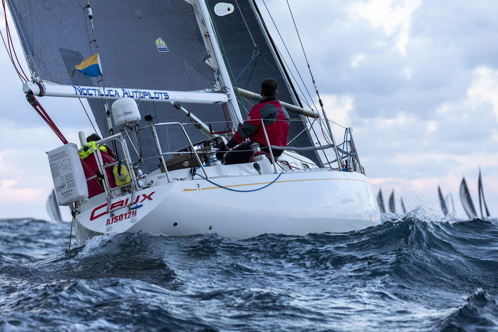 Cabbage Tree Island Race 2022 - CRUX