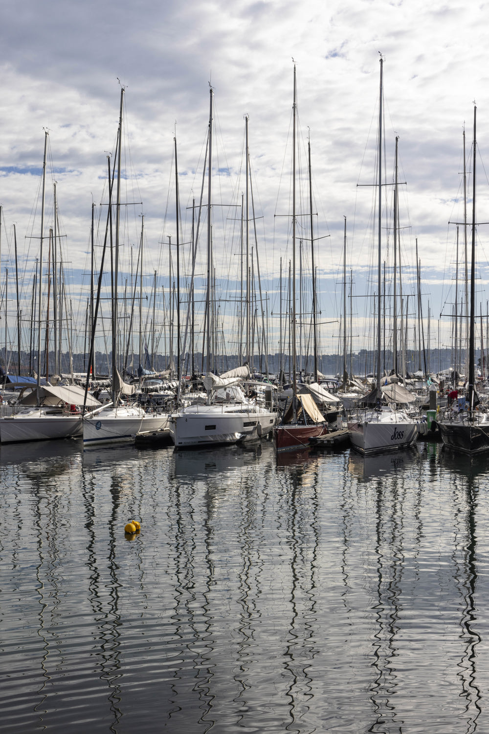 Noakes Sydney Gold Coast 2023