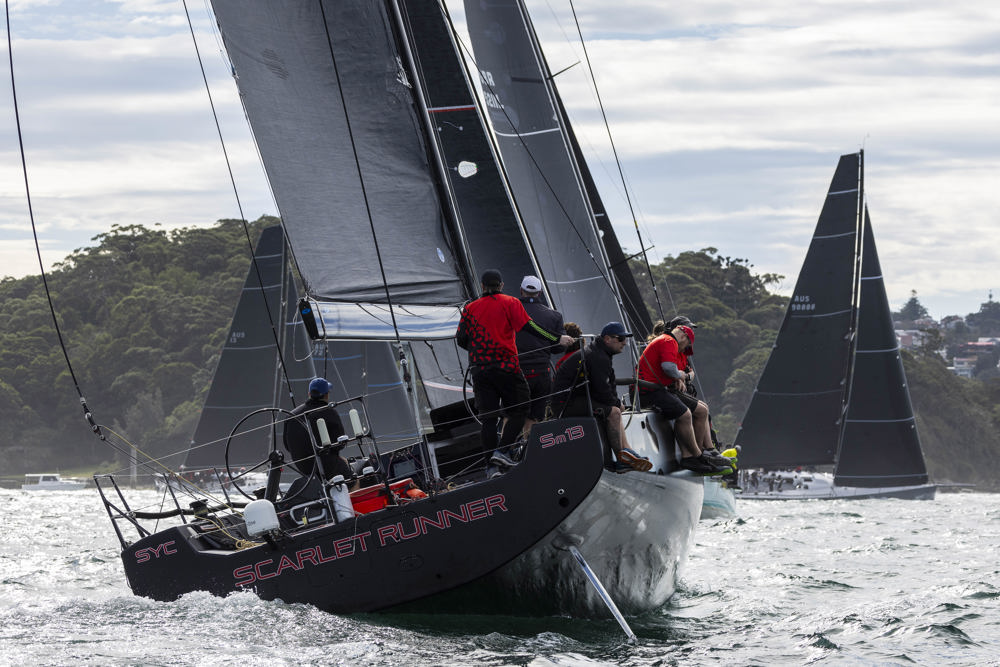 Noakes Sydney Gold Coast 2023 - Scarlet Runner