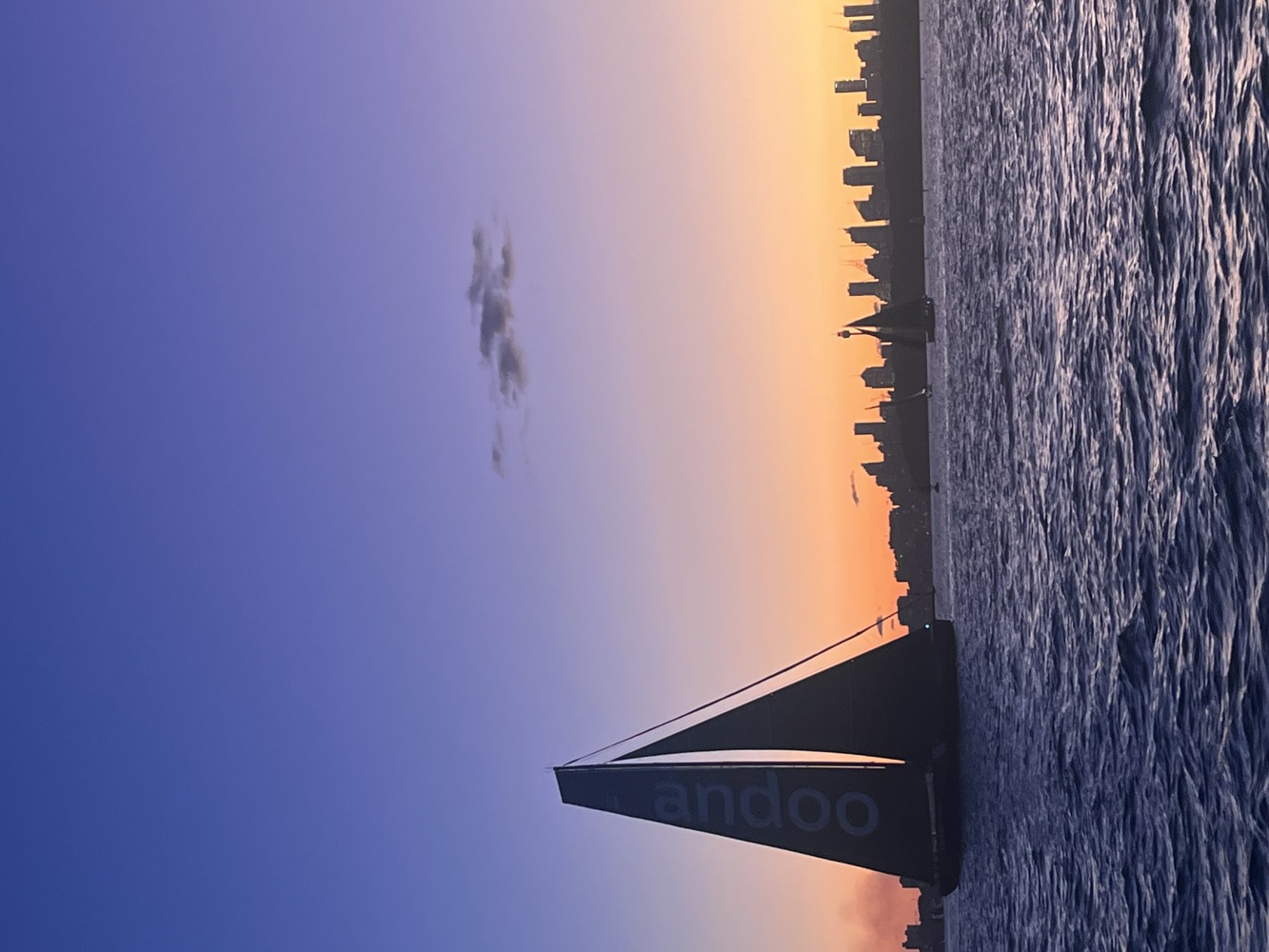 Andoo Comanche profiled against the Sydney skyline