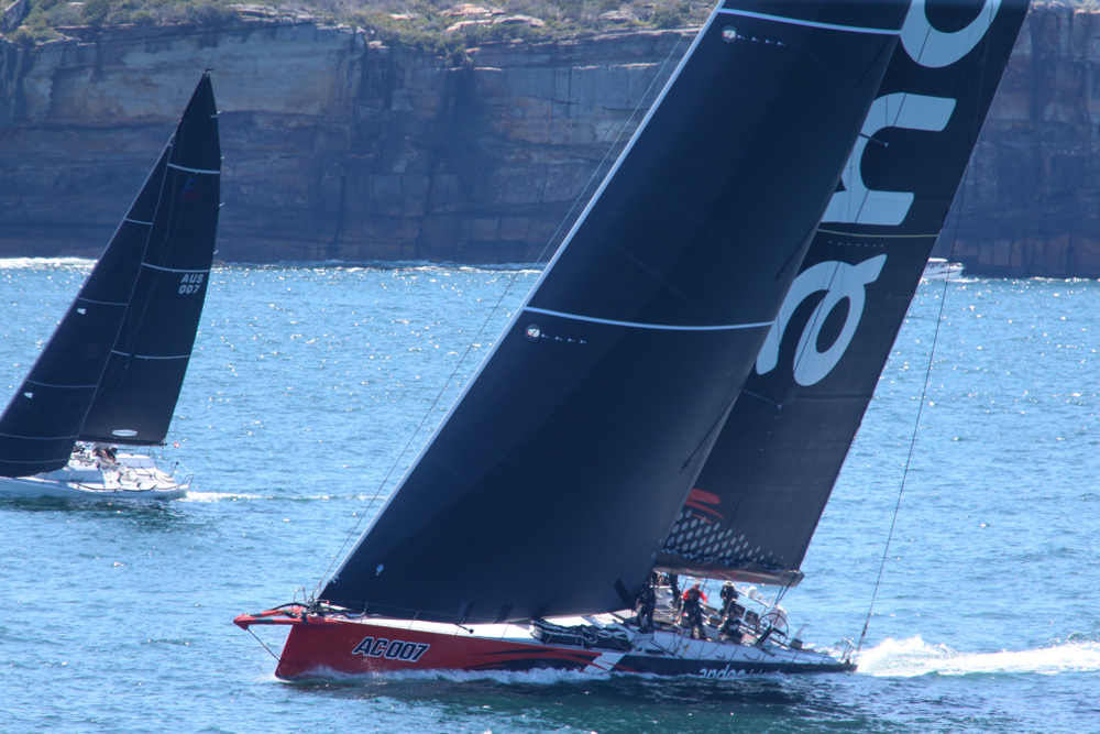 Andoo Comanche in Sydney Harbour coming up to the finish line