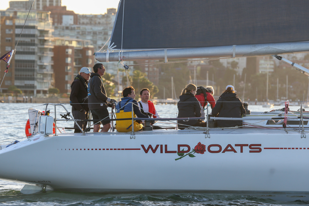 Wild Oats