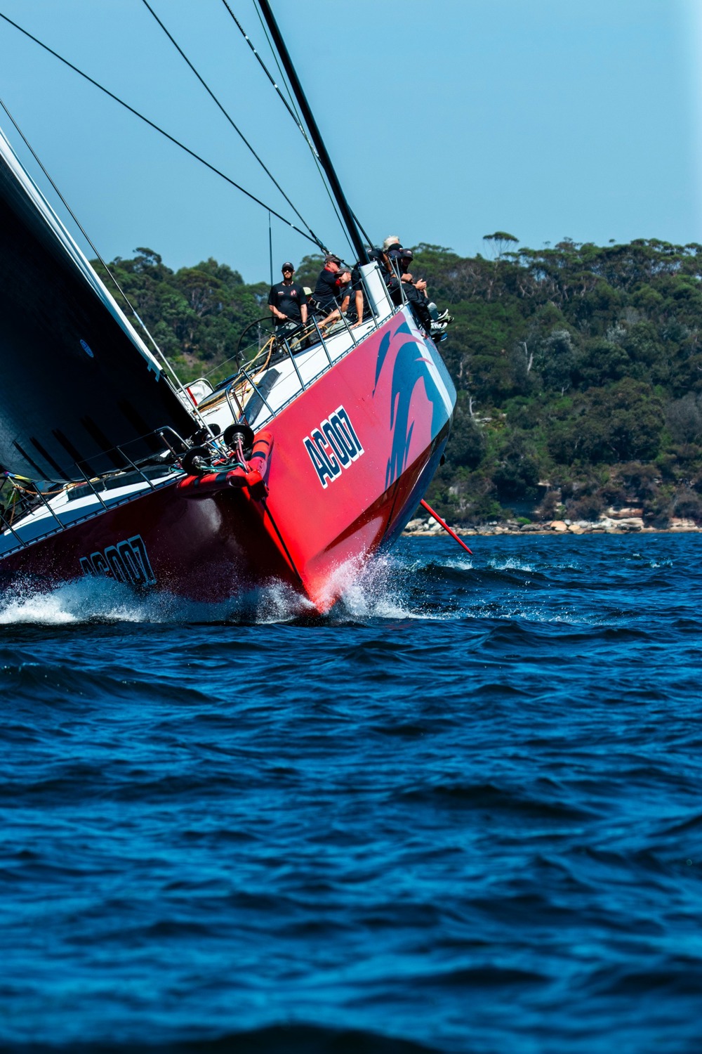 Bird Island start - Andoo Comanche