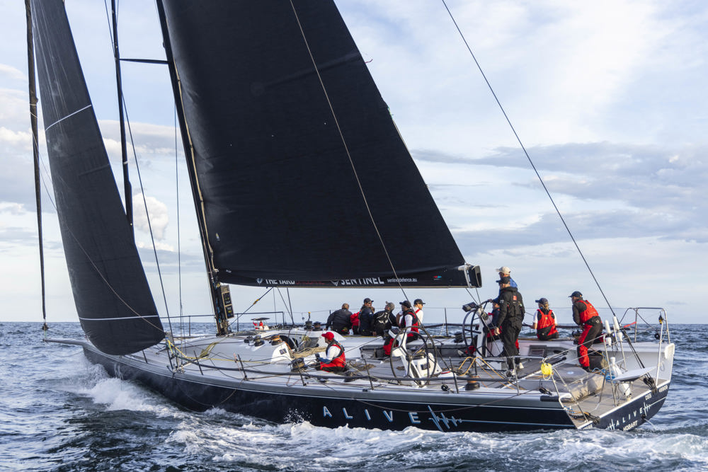 Cabbage Tree Island Race 2023 - Alive