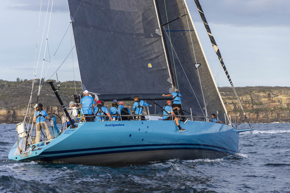Cabbage Tree Island Race 2023 - Antipodes