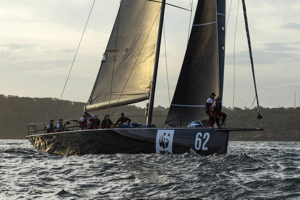 Cabbage Tree Island Race 2023 - Whisper