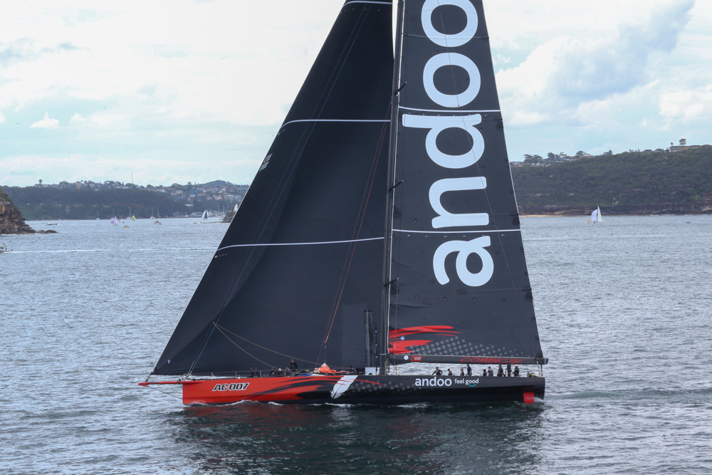 Cabbage Tree Island Race 2023 - Andoo Comanche heading to the finish in Sydney Harbour