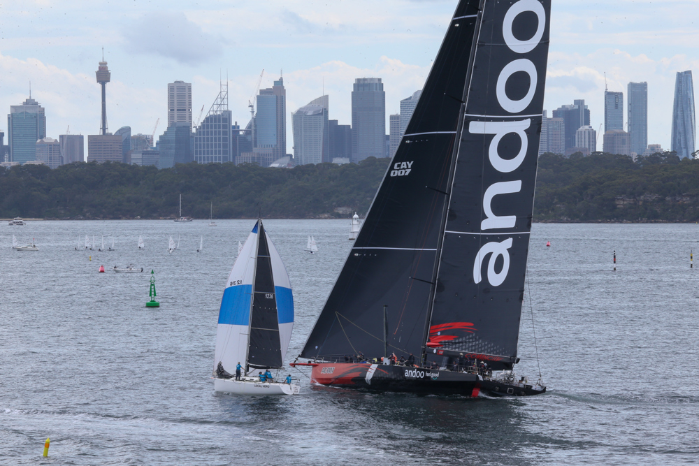 Cabbage Tree Island Race 2023 - Andoo Comanche heading to the finish in Sydney Harbour