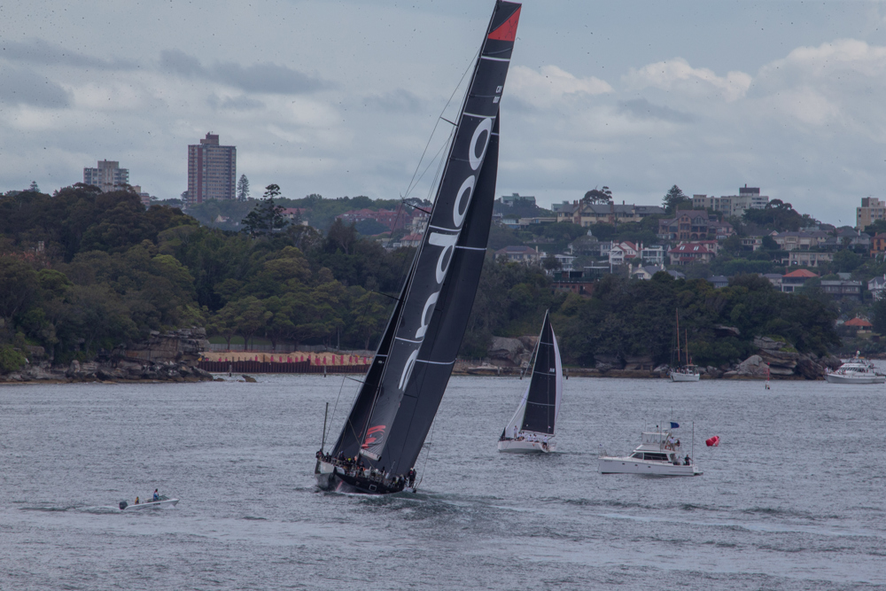 Cabbage Tree Island Race 2023 - Andoo Comanche crossing the finish line in Sydney Harbour