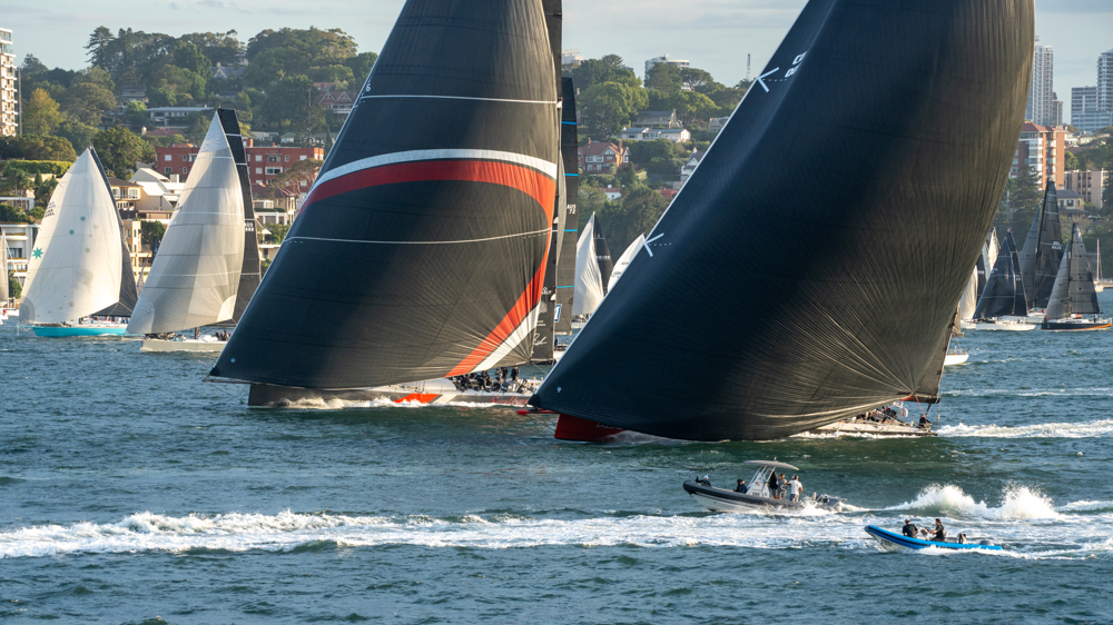 Andoo Comanche and SHK Scallywag