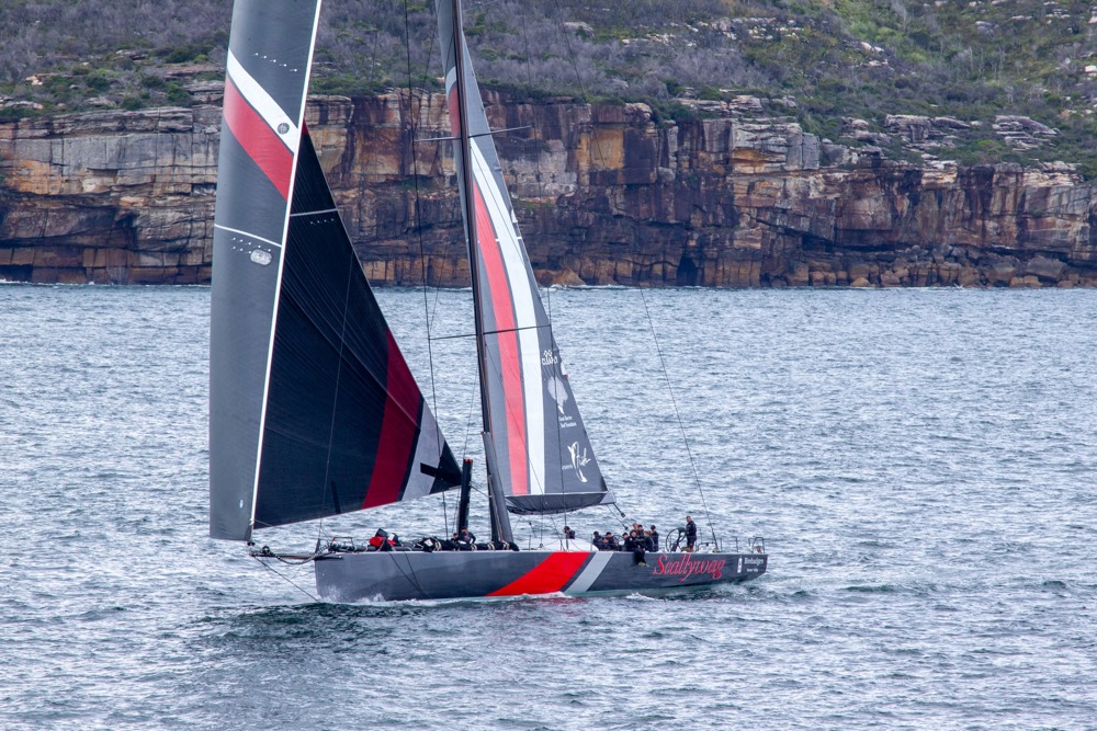 Cabbage Tree Island Race 2023 - SHK Scallywag