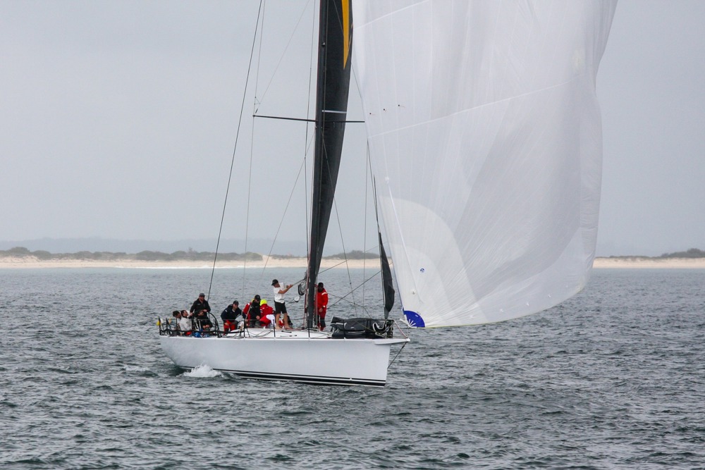 Bumblebee V at Cabbage Tree Island