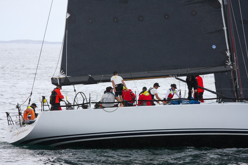Bumblebee V at Cabbage Tree Island