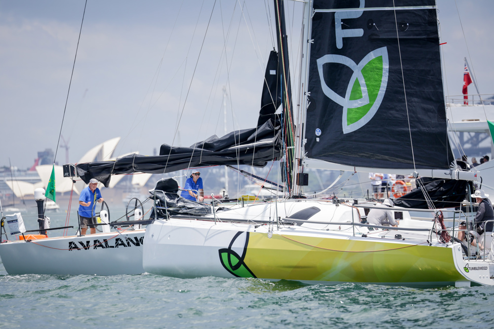 Tumbleweed and Avalanche