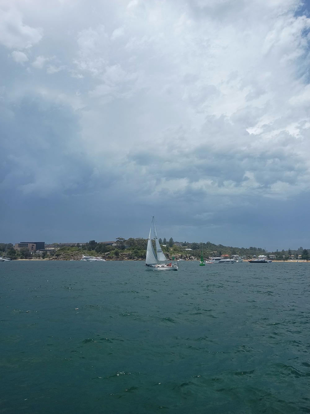 View from Sylph VI in Sydney Harbour