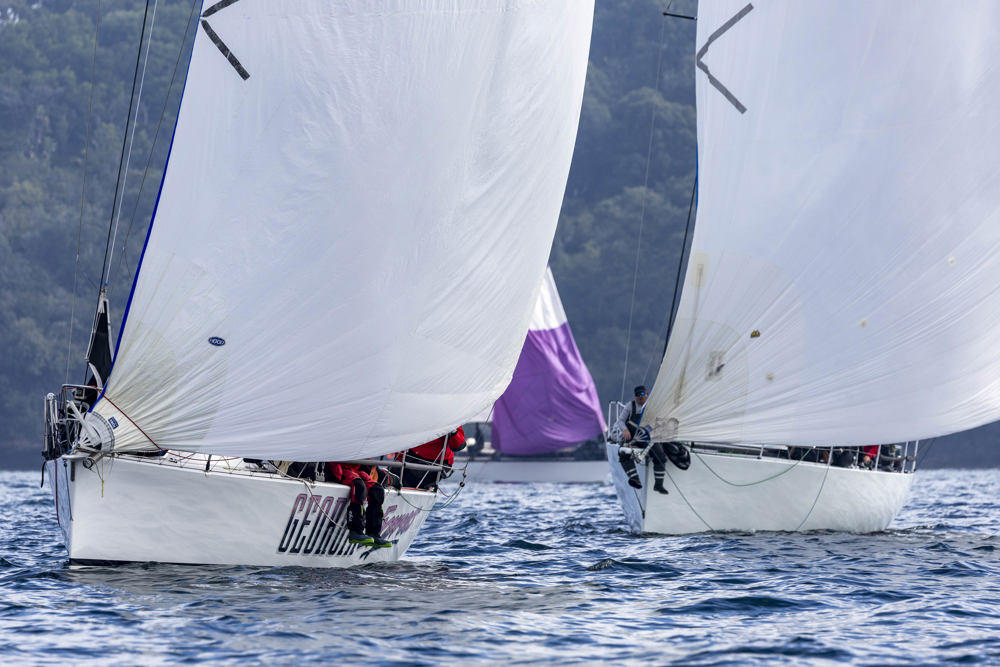 Noakes Sydney Gold Coast Yacht Race 2024 - Georgia Express.  