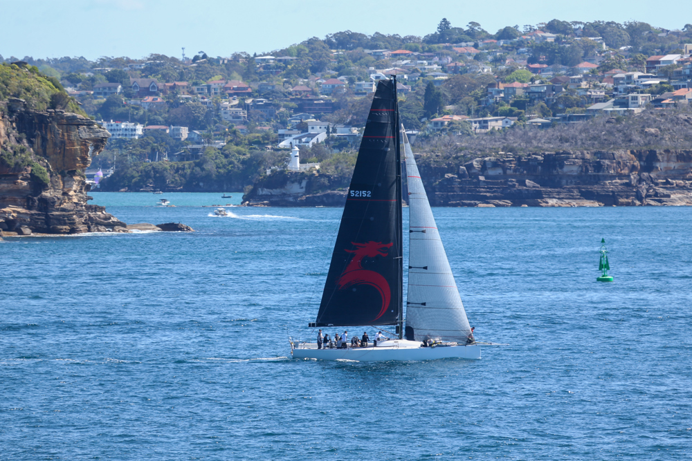 2024 Flinders Islet Race start - Koa.  Image: David Hislop