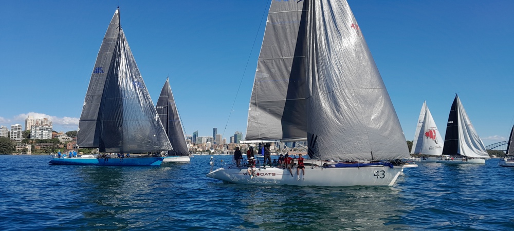 2024 Flinders Islet Race start.   Image: Eric Blake