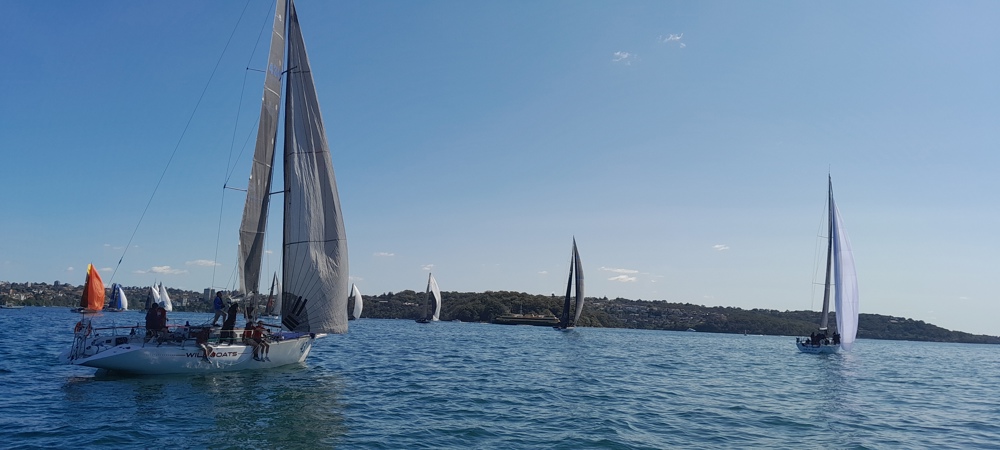2024 Flinders Islet Race start.    Image: Eric Blake